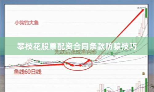攀枝花股票配资合同条款防骗技巧